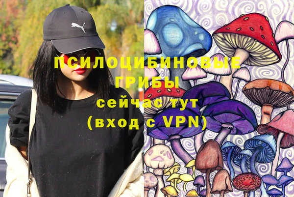 дмт Кукмор