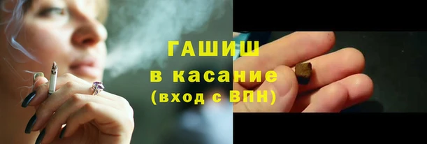 хмурый Пересвет