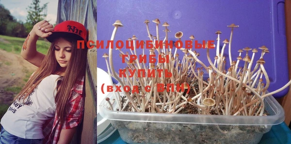 дмт Кукмор